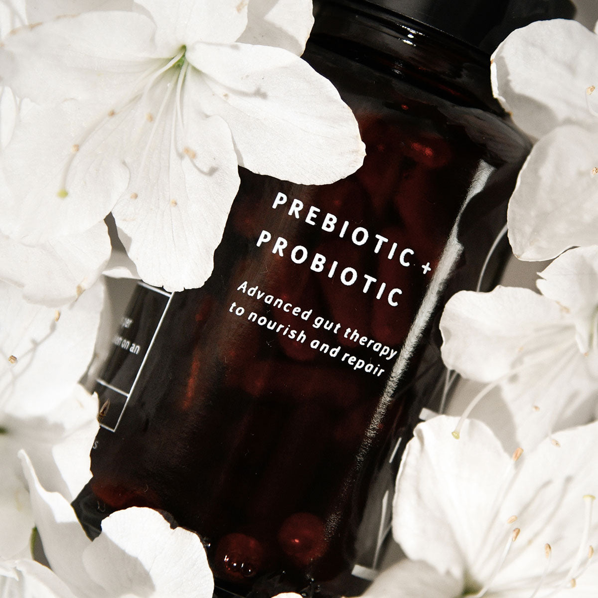 Kiko Prebiotic + Probiotic